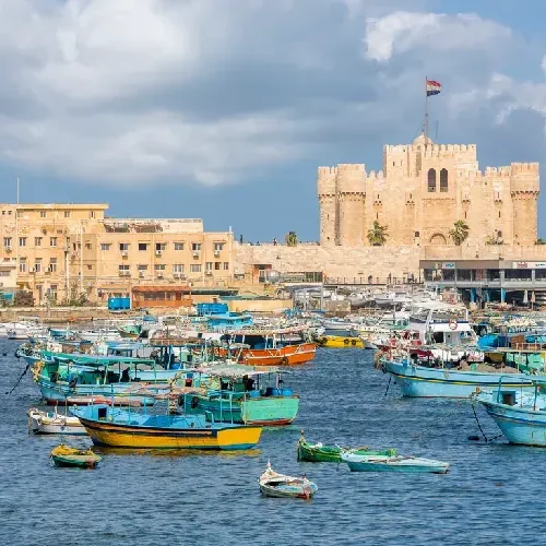 Explore the Pearl of the Mediterranean: Alexandria Tours from Cairo in 1 or 2 Days